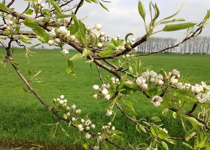 Hotel Restaurant 't Veerhuis 3*